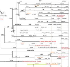 detail J2 (J-M172) main subclades tree with time estimates based on YFull YTree v3.17 CC-BY ChrisR
