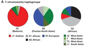 Rodriguez-Flores et al 2016 Fig. 2 A: Y Chromosome (Chr Y) haplogroup assignments. 