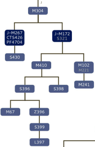 BritainsDNA-2013-J-tree-screenshot