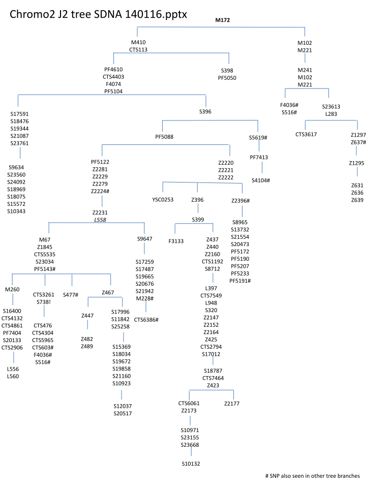 BritainsDNA J2 Haplogroups and SNPs – J2-M172